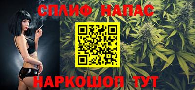 МДПВ Будённовск