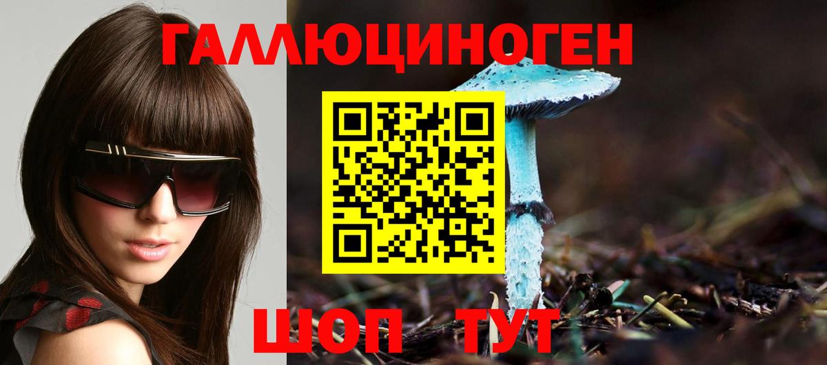 Псилоцибиновые грибы Cubensis  Вход с VPN  Рузаевка 